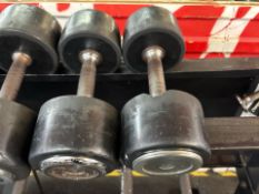 Hammer Strength 16kg Dumbbell Pair