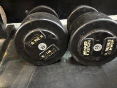 Hammer Strenght 48kg Dumbbell Pair