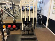 Plate Loaded Calf Raise
