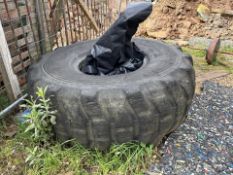 Exercise Tyre