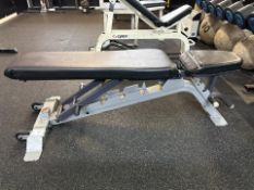 Adjustable Workout Bench