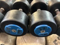 Hammer Strength 36kg Dumbbell Pair
