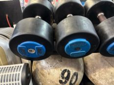 Hammer Strenght 38kg Dumbbell Pair