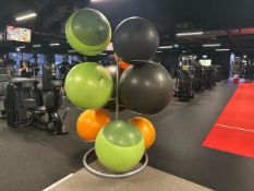 Exercise Balls & Stand