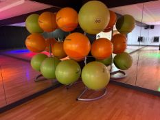 Exercise Balls & Stand