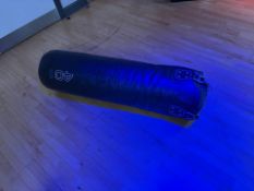 Physical 40kg Punch Bag