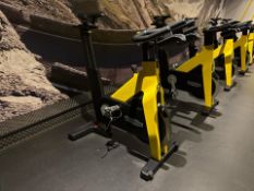 Technogym Spin Bike