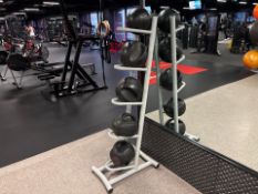 Medicine Balls x5 and Stand