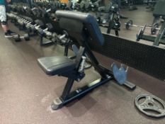 Preacher Curl Bench