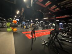 Exercise Rings