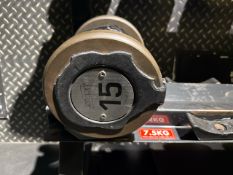 1 x 15KG Dumbbell