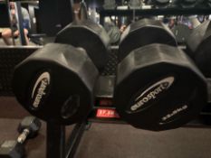 Eurosport 32.5KG Dumbbells x2