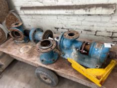 Mono Pump Dismantled
