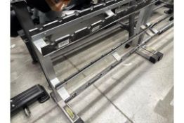 Technogym Small Dumbbell Rack - No Reserve