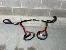 ZIVA Suspension Training Straps - No Reserve