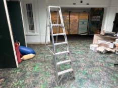 Silver Six Step Metal Ladder - No Reserve
