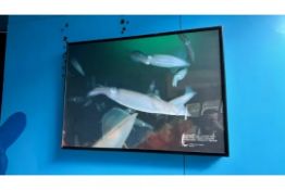 ** NO RESERVE ** LED Signs x3
