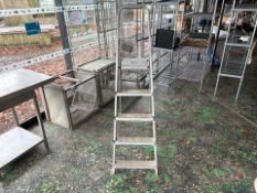 Metal Ladder - No Reserve
