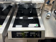Blizzard Electric Induction Hobb - No Reserve