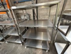 Stainless Steel Wheeled Shelving Unit- No Reserve