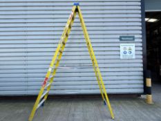 Werner Stepladders THX24094