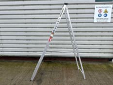 Youngman Stepladders THX9305