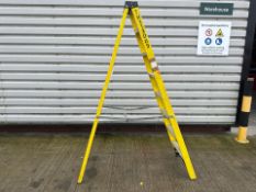 Youngman Stepladders THX13009