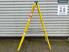 Werner Stepladders THX11921