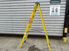 Werner Stepladders - THX16889
