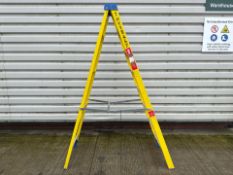 Werner Stepladders THX15447