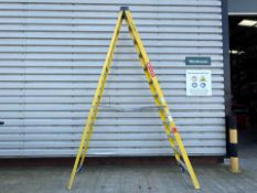 Werner Stepladders THX9387