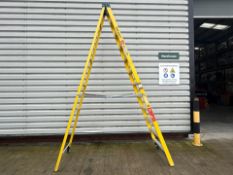 Werner Stepladders THX 25037