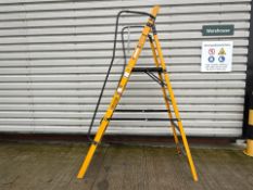 Werner Megastep THX21238