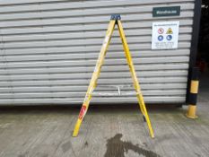 Werner Stepladders - THX32110