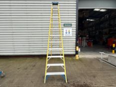 Werner Stepladders THX2562