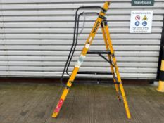 Werner Stepladders THX20978