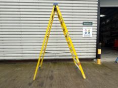 Werner Stepladders THX19252