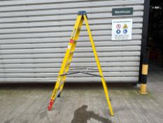 Werner Stepladders - THX32532