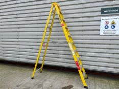 Werner 10 Tread Fibreglass Stepladder - THX25938