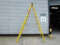 Werner Stepladders THX22101