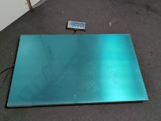 Brecknell WS300 Platform Scales - 300 kg capacity