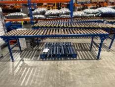 Blue Metal Roller Conveyor - No Reserve