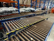 Blue Metal Roller Conveyor - No Reserve