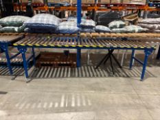 Blue Metal Roller Conveyor - No Reserve