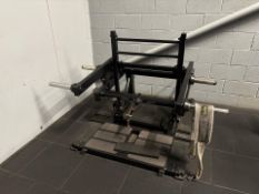 Raze Plate Loaded Belt Squat