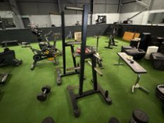 Indigo Fitness Black Metal Weight Tree