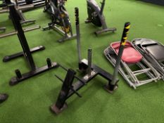 Plate Loaded Weight Ski