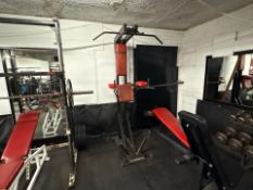 Panatta Sport Chin up/ Dip Station