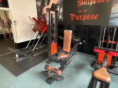 Panatta Sport Dip Machine Pin Loaded