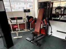 Panatta Sport Iso Lateral Bicep Curl Pin Loaded